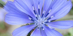 ... qui se soucie de façon excessive du bien-être d’autrui