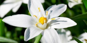 ... est découragée et au bord du désespoir