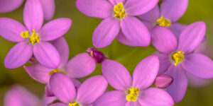 ... qui est hypersensible aux influences et aux idées